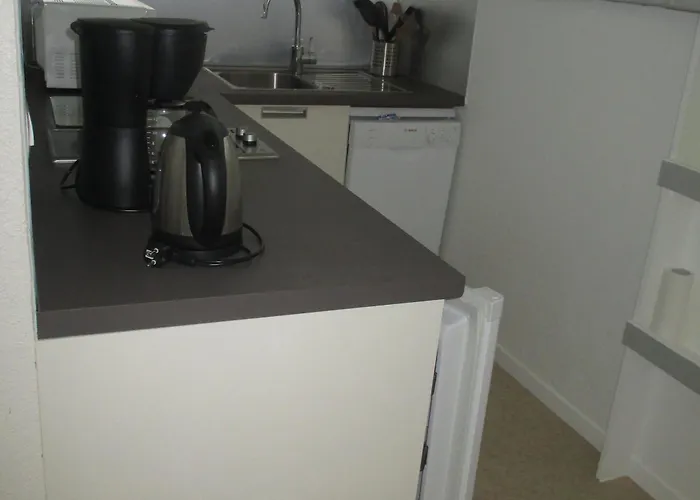 4 Pers Près Centre Et Pistes, Navette, Parking, Lave-vaisselle - Fr-1-814-74 *